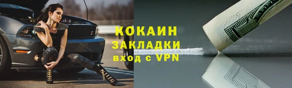 сатива Горно-Алтайск