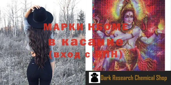 эйфоретик Гусь-Хрустальный